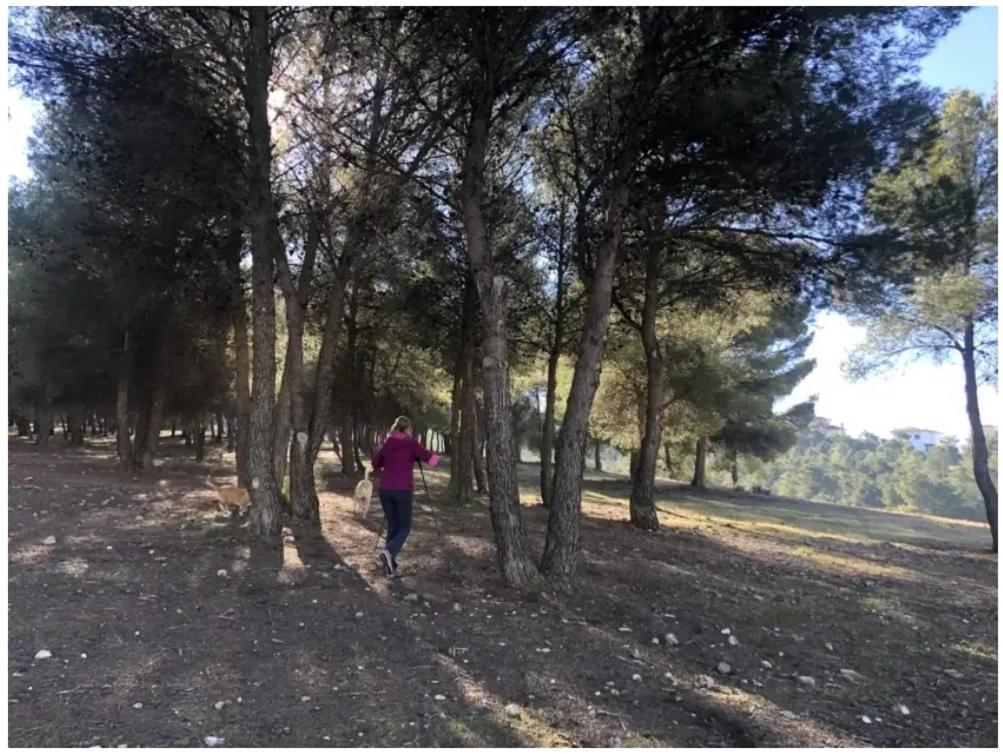 Appartamento Zubicalm La Zubia  Esterno foto